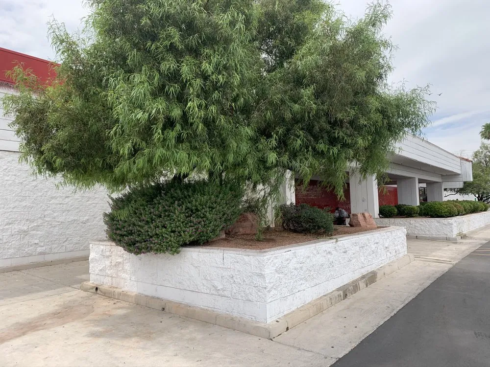 Affordable yard maintenance in Las Vegas, NV - Jem Lawn Maintenance