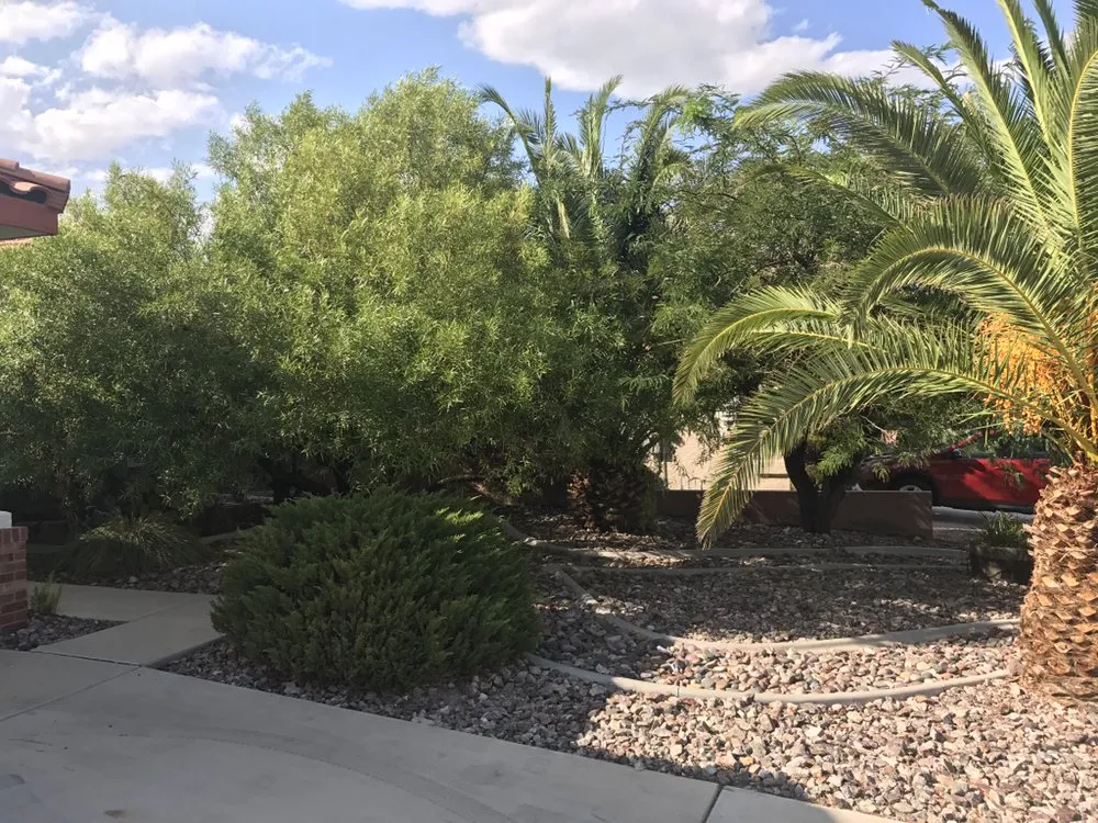 Affordable outdoor landscaping in Las Vegas, NV by Jem Lawn Maintenance