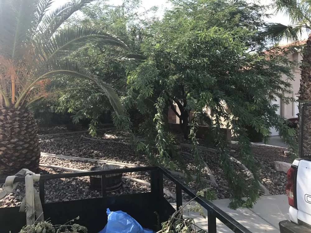 Expert lawn mowing service experts serving Las Vegas, NV - Jem Lawn Maintenance