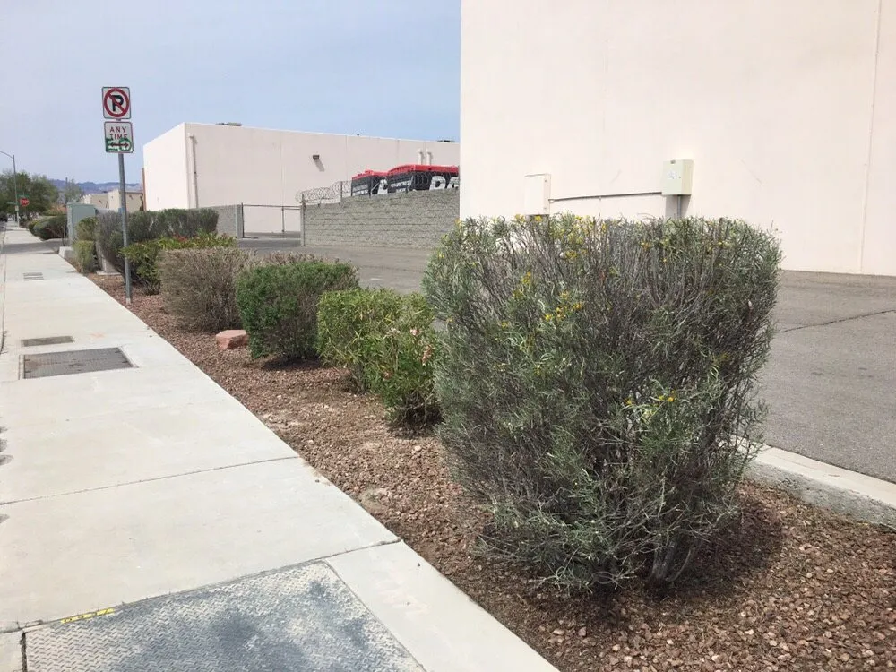 Professional lawn mowing service near you across Las Vegas, NV - Jem Lawn Maintenance