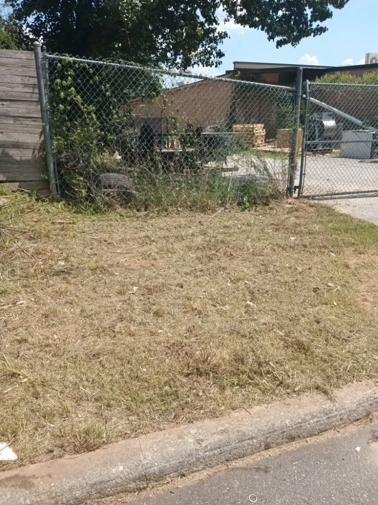 Expert yard maintenance near you in Wendell, NC by Jemal's Lawn Care Services