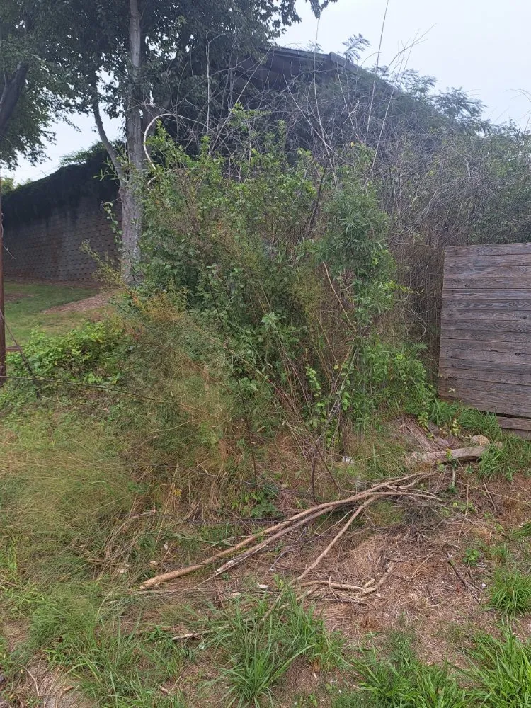 Professional yard maintenance with custom design across Wendell, NC - Jemal's Lawn Care Services