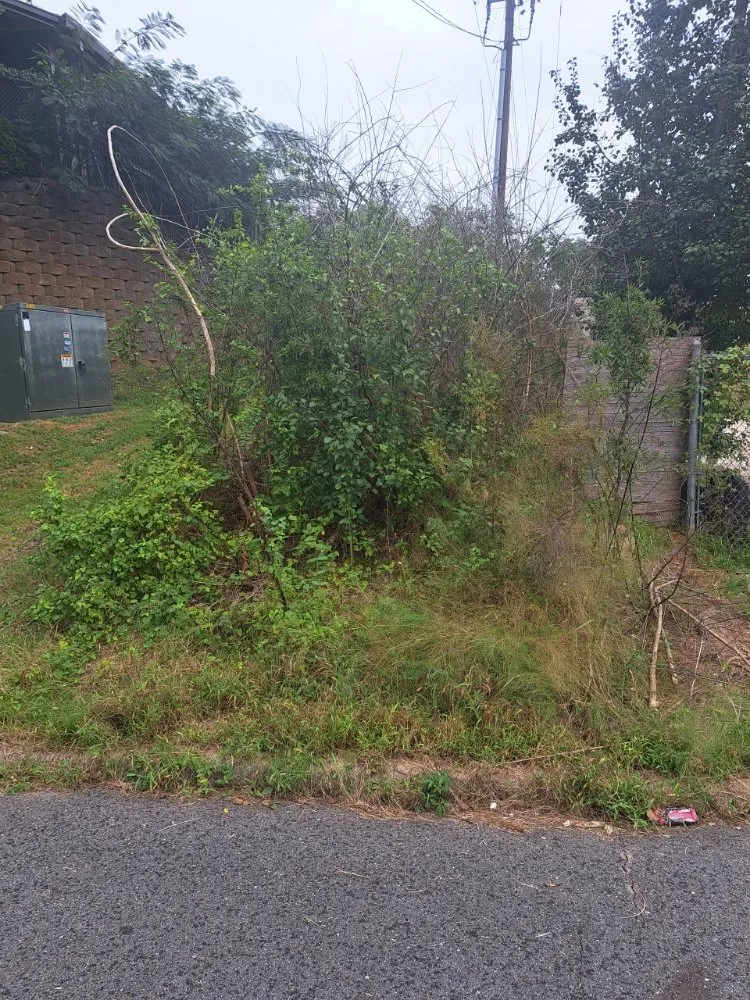 Trusted outdoor landscaping in Wendell, NC by Jemal's Lawn Care Services