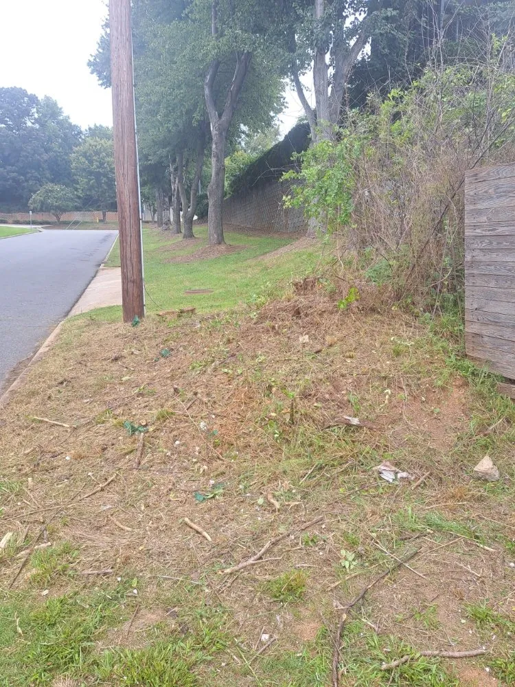 Reliable residential landscaping in Wendell, NC by Jemal's Lawn Care Services