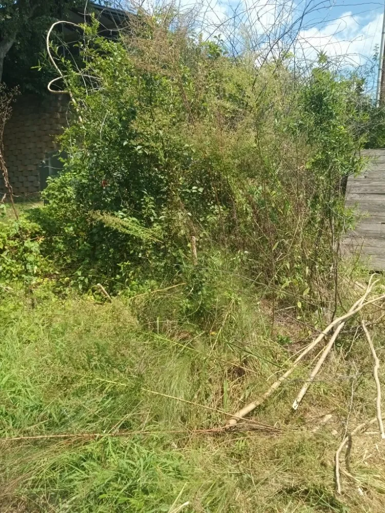 Custom landscape installation in Wendell, NC - Jemal's Lawn Care Services