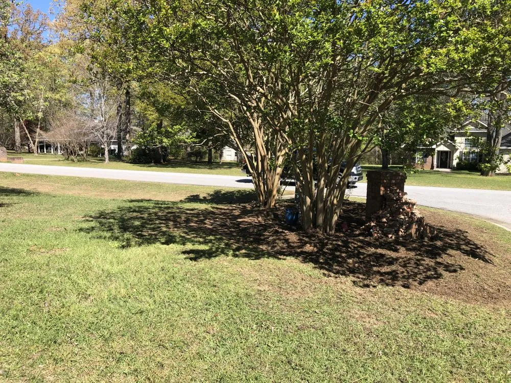 Trusted garden landscaping near you in Warner Robins, GA by Jemathis88@gmail.com