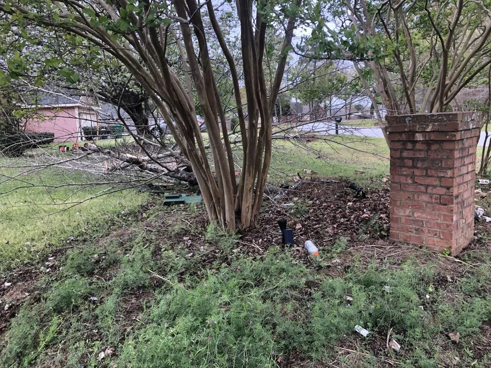 Top-rated lawn mowing service for residential properties across Warner Robins, GA - Jemathis88@gmail.com