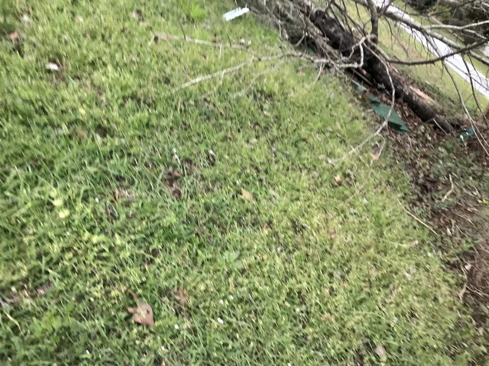 Affordable residential landscaping for outdoor upgrades in Warner Robins, GA by Jemathis88@gmail.com