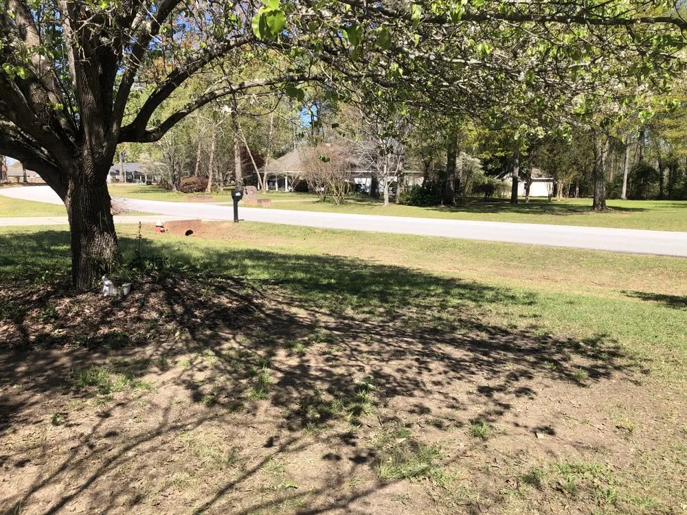 Top-rated lawn care service experts serving Warner Robins, GA - Jemathis88@gmail.com