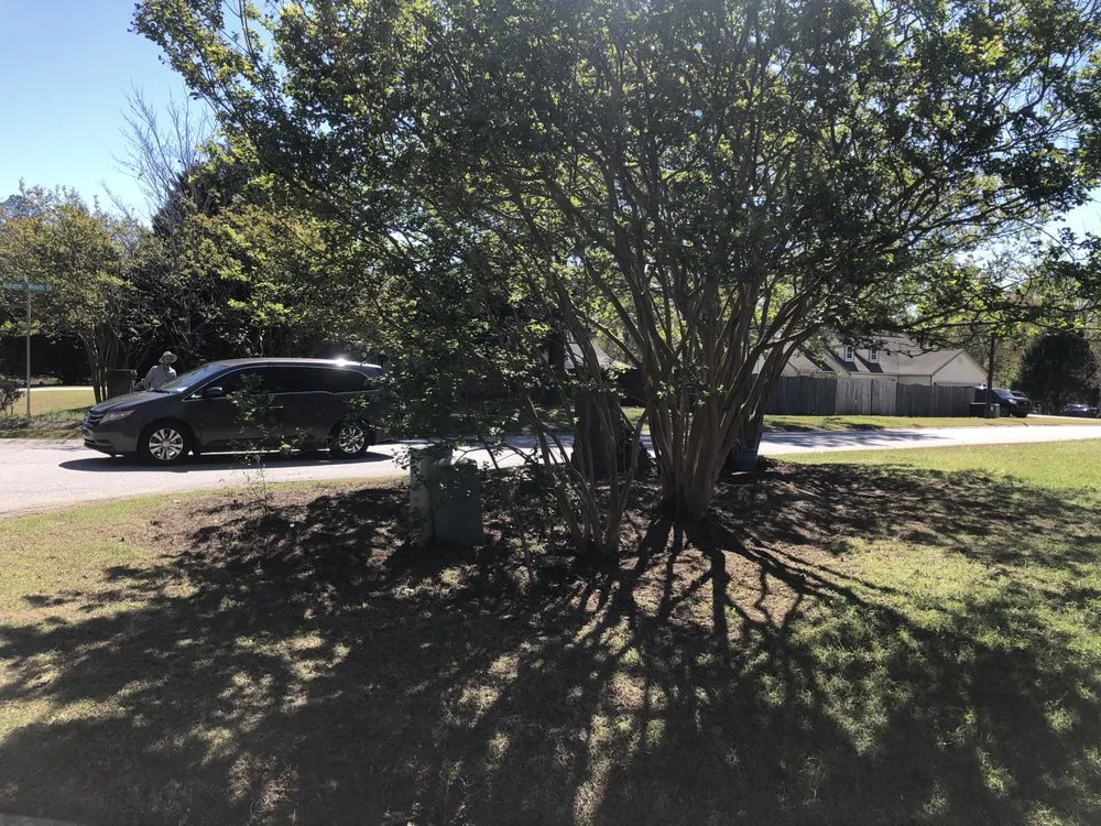 Trusted landscape design in Warner Robins, GA by Jemathis88@gmail.com