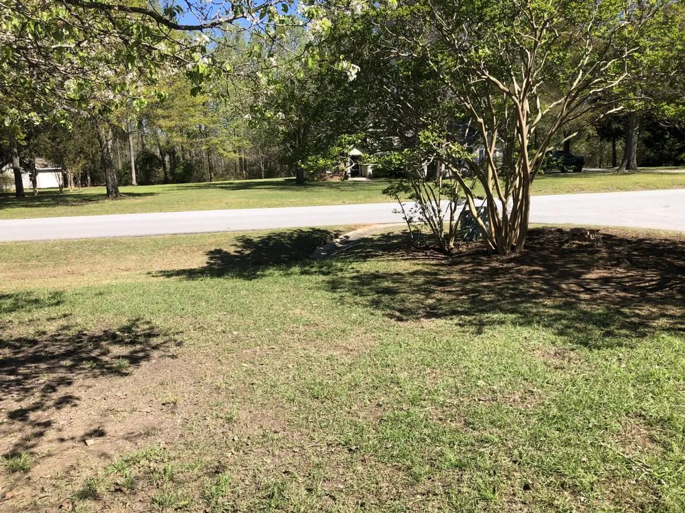 Top-rated outdoor landscaping for residential properties in Warner Robins, GA by Jemathis88@gmail.com