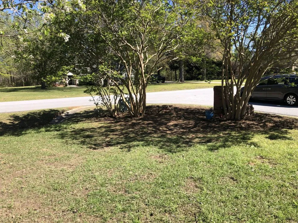 Custom lawn mowing service near you in Warner Robins, GA by Jemathis88@gmail.com