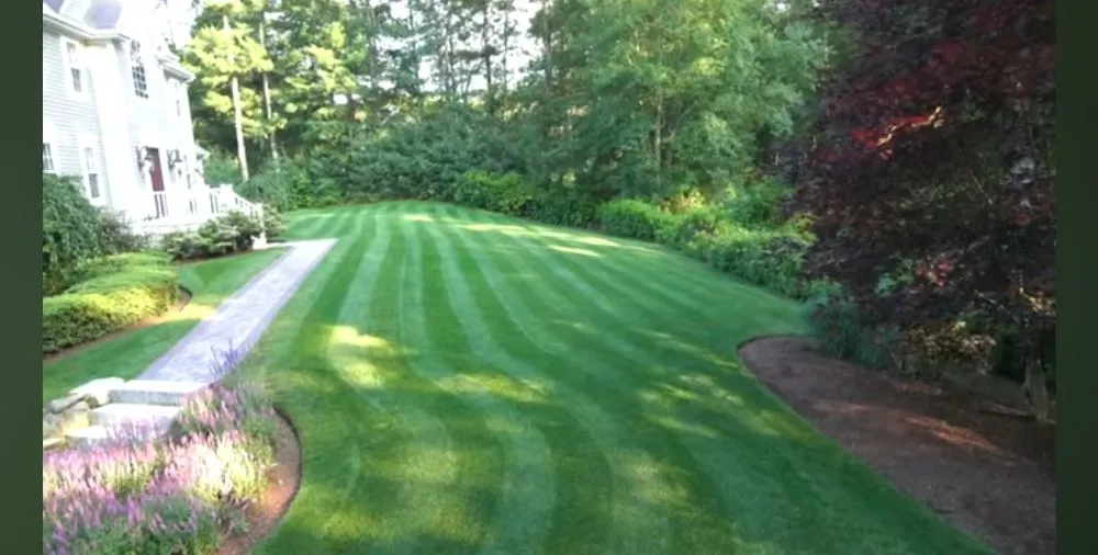 Custom residential landscaping with custom design in Everman, TX by Jemiel's Lawn Care