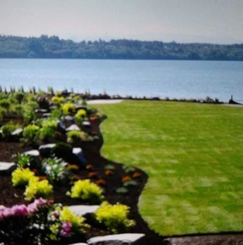 Custom yard cleanup service for residential properties in Bremerton, WA by Jemo's Landscaping