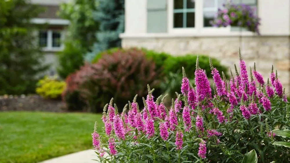 Trusted garden landscaping in Bay Shore, NY by Jems Landscaping