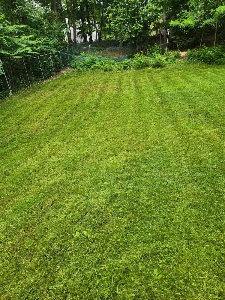 Local yard maintenance for beautiful yards across Smithtown, NY - Jen Landscaping Service