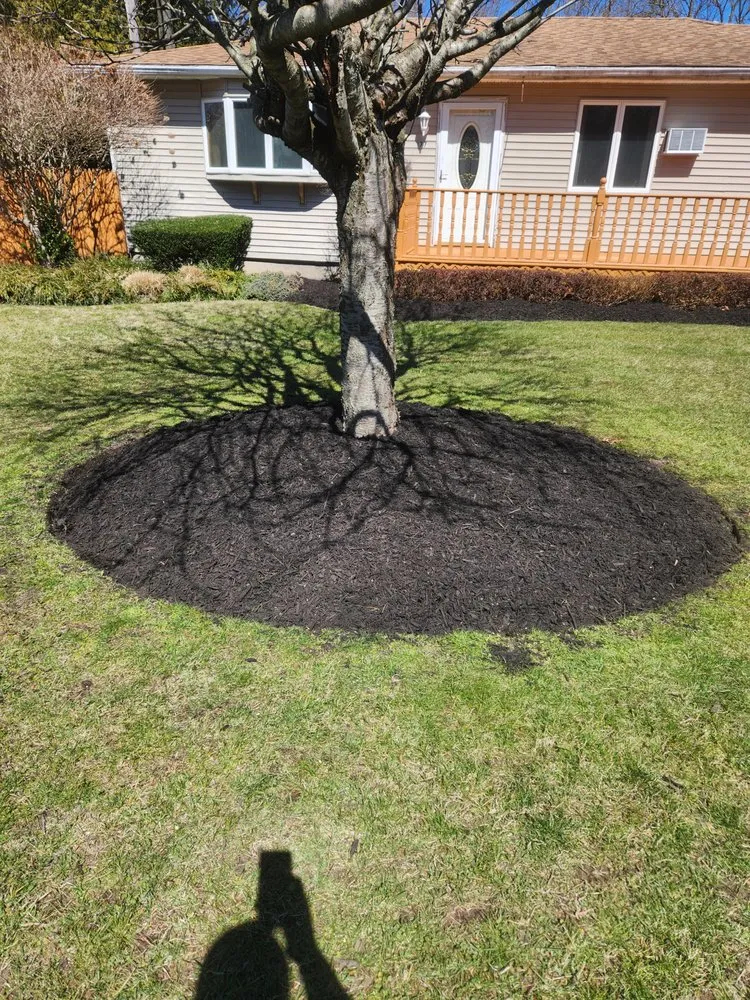 Trusted lawn care service for residential properties across Smithtown, NY - Jen Landscaping Service