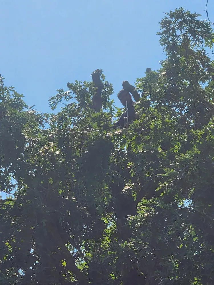 Expert landscape design experts serving Smithtown, NY - Jen Landscaping Service