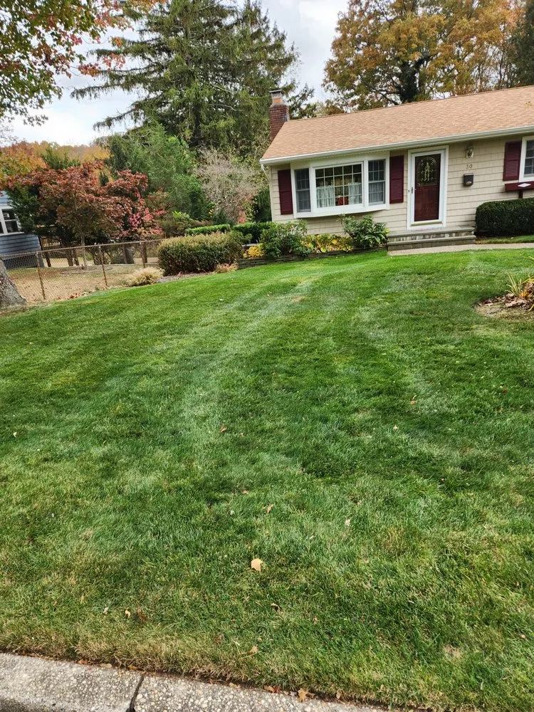 Reliable lawn care service for residential properties across Smithtown, NY - Jen Landscaping Service