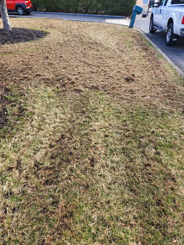 Affordable residential landscaping with custom design across Smithtown, NY - Jen Landscaping Service