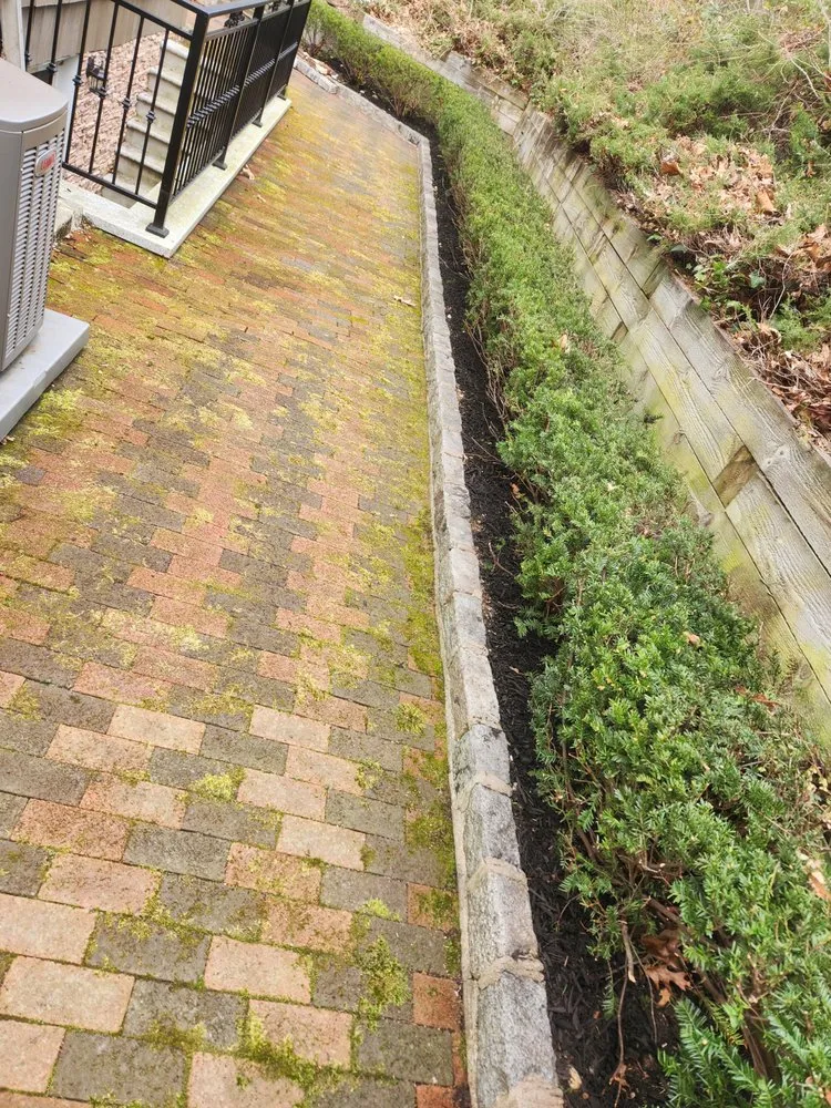 Reliable yard cleanup service in Smithtown, NY by Jen Landscaping Service