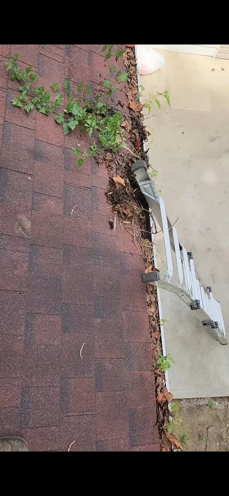 Reliable outdoor landscaping for year-round maintenance across Smithtown, NY - Jen Landscaping Service