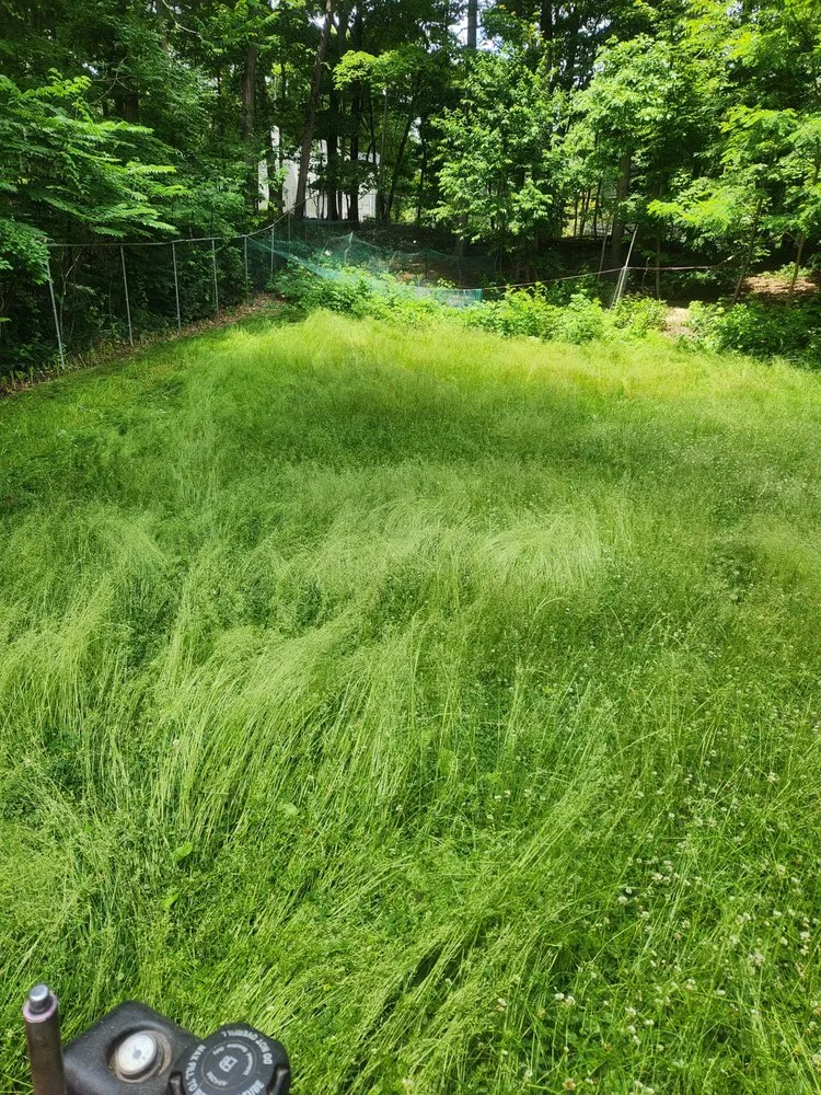 Top-rated yard cleanup service for residential properties in Smithtown, NY by Jen Landscaping Service