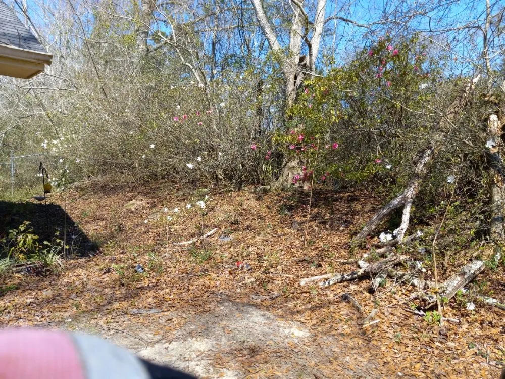 Trusted lawn mowing service in Wiggins, MS by Jenbo's Landscapes And Lawns