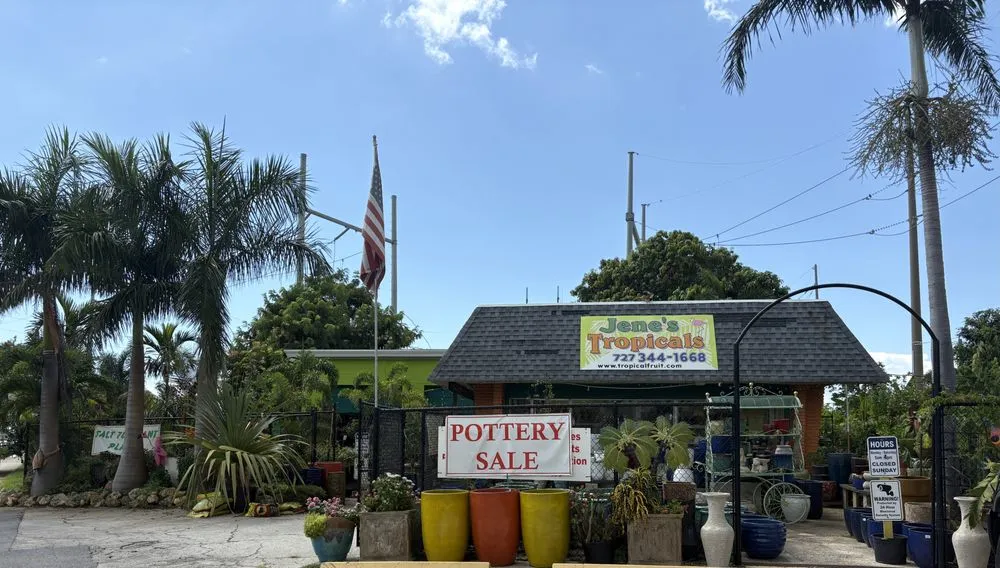 Top-rated garden landscaping experts serving St Petersburg, FL - Jene's Tropicals
