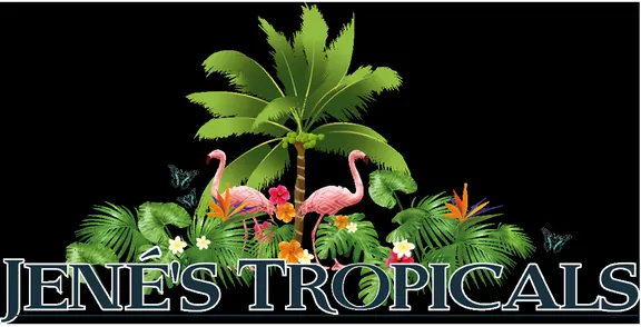 Local lawn care service in St Petersburg, FL - Jene's Tropicals