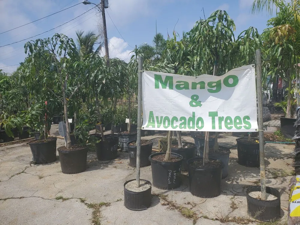 Custom garden landscaping in St Petersburg, FL - Jene's Tropicals