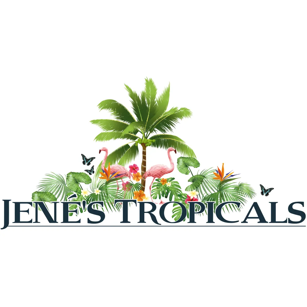 Affordable landscaping services for homes across St Petersburg, FL - Jene's Tropicals