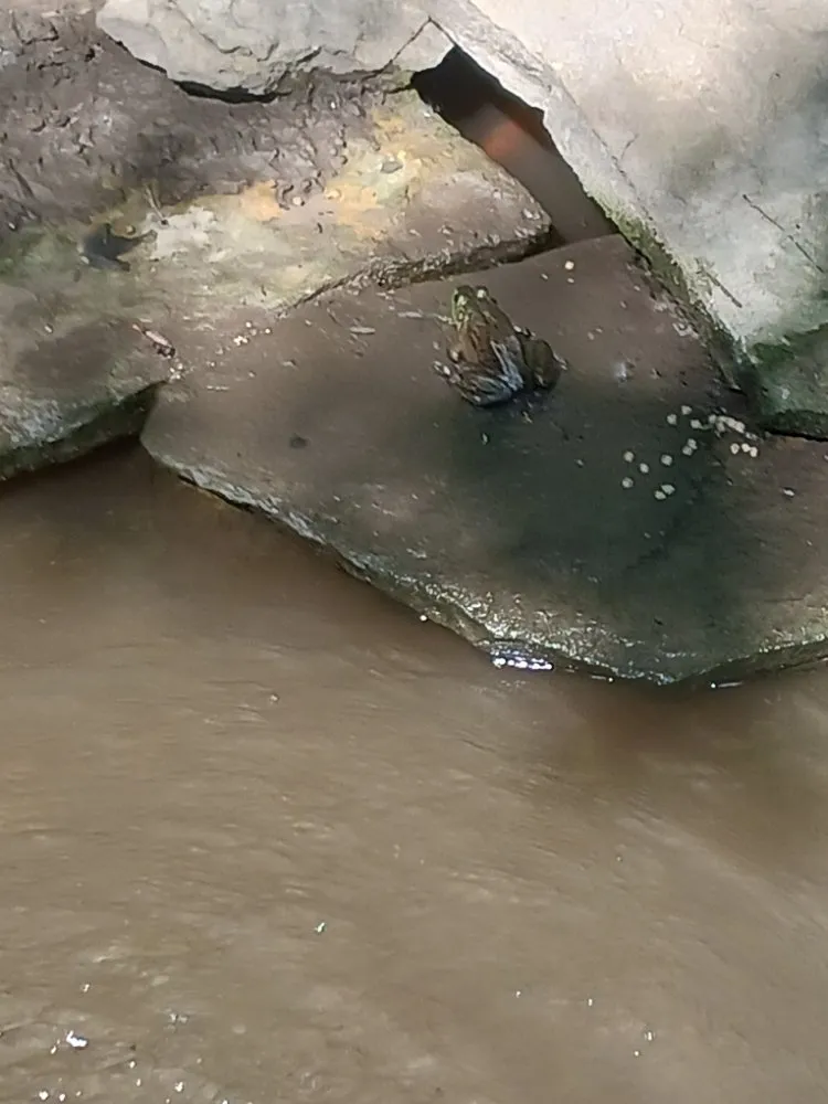 Affordable lawn mowing service for year-round maintenance in Indianapolis, IN by Jenjen Cleaning and Lawn Care Services