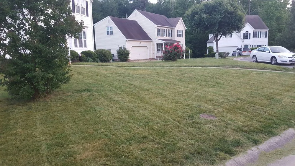 Reliable lawn care service for outdoor upgrades in Richmond, VA by Jenkins & Holt Lawn Care and More