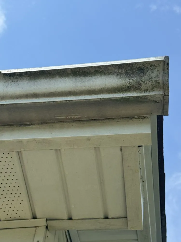 Professional yard cleanup service in Fredericksburg, VA - Jenkins & Son’s Property Management