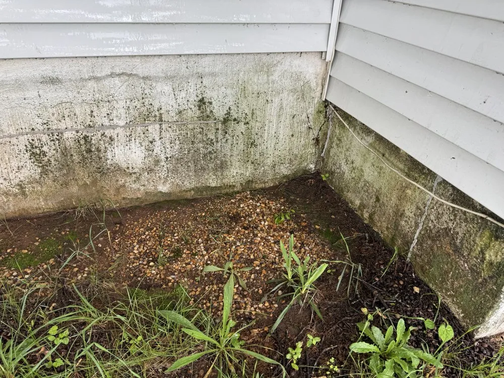 Top-rated lawn mowing service for homes in Fredericksburg, VA by Jenkins & Son’s Property Management