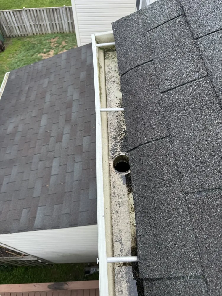 Affordable landscaping services in Fredericksburg, VA - Jenkins & Son’s Property Management