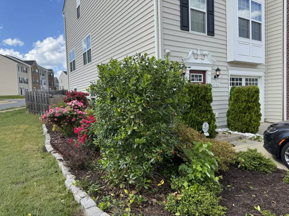 Trusted landscaping services in Fredericksburg, VA - Jenkins & Son’s Property Management