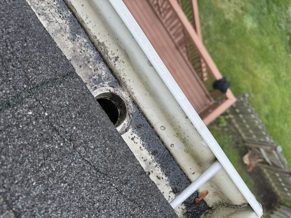 Expert yard maintenance in Fredericksburg, VA by Jenkins & Son’s Property Management