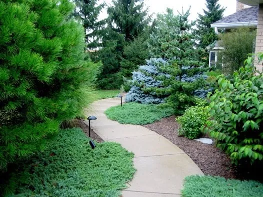 Reliable residential landscaping experts serving Pine Village, IN - Jenkins Country Gardens