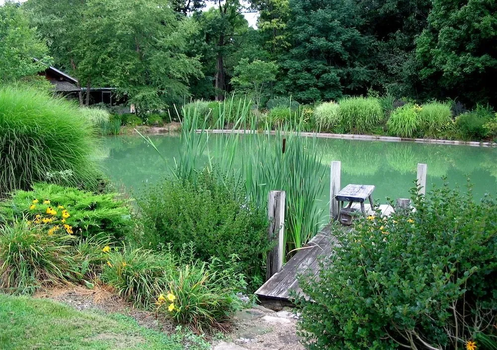 Affordable yard maintenance for residential properties in Pine Village, IN by Jenkins Country Gardens
