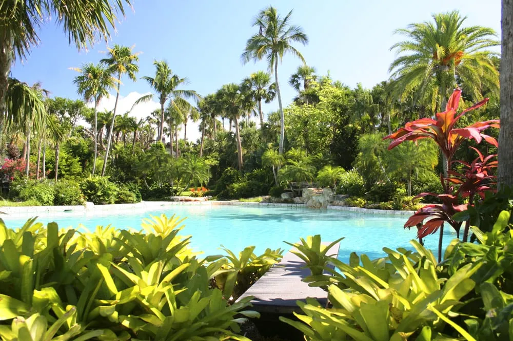 Expert outdoor landscaping for beautiful yards in Hobe Sound, FL by Jenkins Landscape