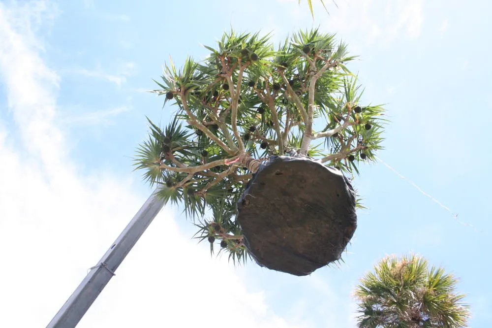 Local landscaping services experts serving Hobe Sound, FL - Jenkins Landscape