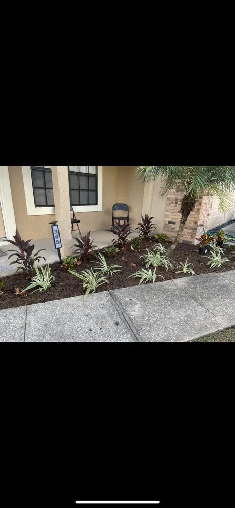 Expert landscaping services experts serving Kissimmee, FL - Jenkins Landscaping