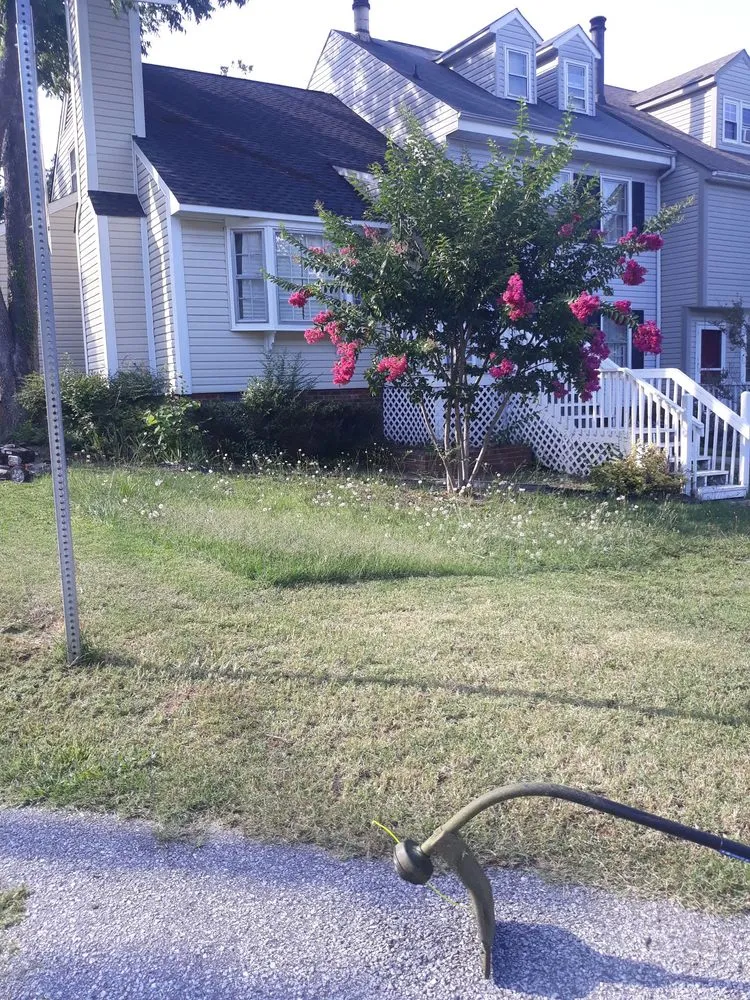 Top-rated yard cleanup service experts serving Spartanburg, SC - Jenkins Lawn & Haul