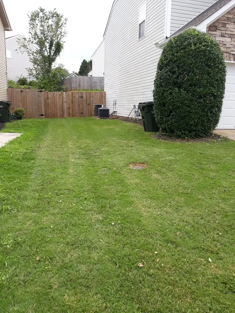Affordable yard cleanup service in Spartanburg, SC - Jenkins Lawn & Haul
