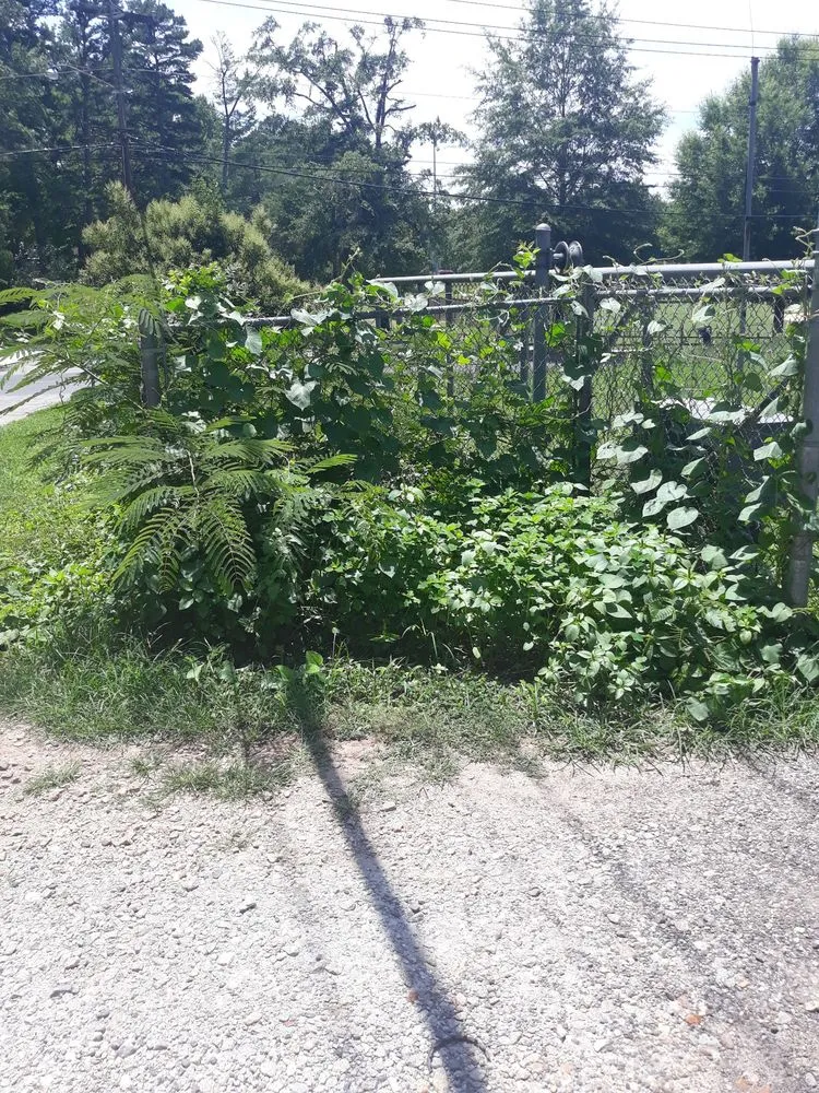 Local garden landscaping in Spartanburg, SC - Jenkins Lawn & Haul