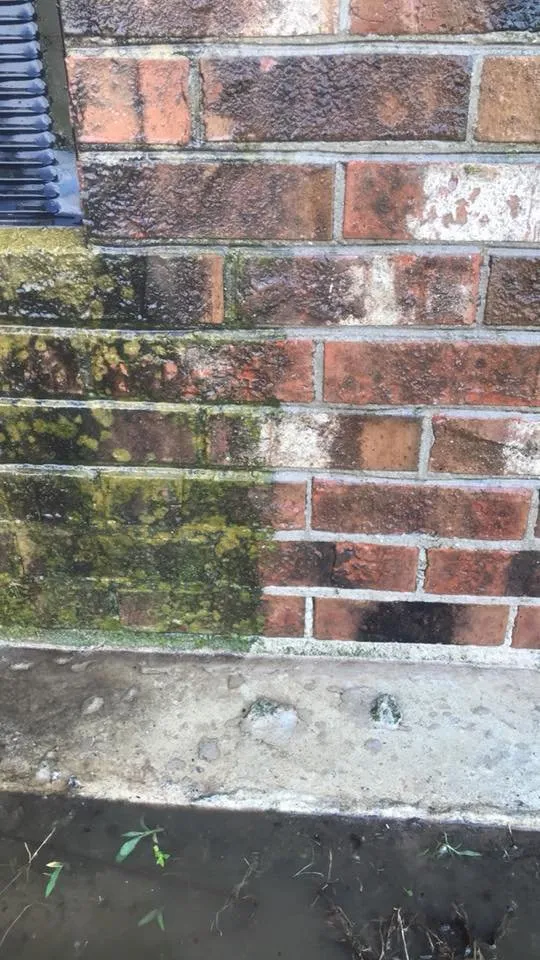 Affordable yard cleanup service for beautiful yards in Kenly, NC by Jenkins Lawn Care