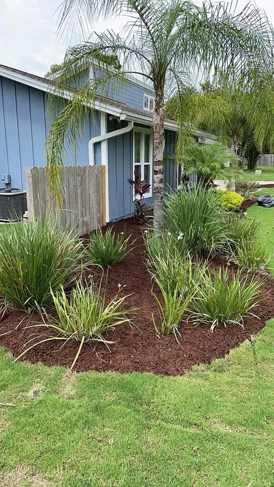 Top-rated yard cleanup service in Palatka, FL by Jenkins lawn care