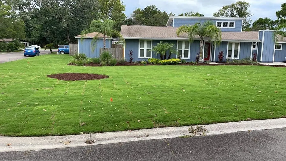 Reliable yard cleanup service experts serving Palatka, FL - Jenkins lawn care